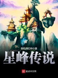 星峰传说 星峰传说