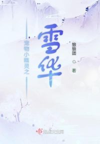 宠物小精灵之雪华