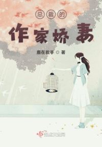 总裁的作家娇妻