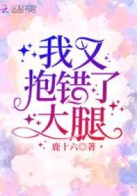 我又抱错了大腿