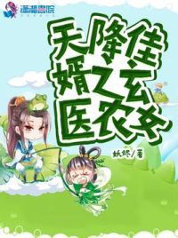 天降佳婿之玄医农女