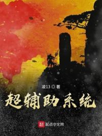 超辅助系统