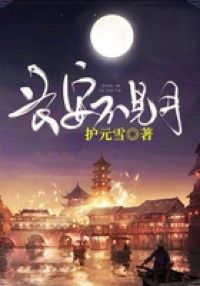 长安不见月