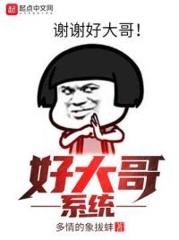 好大哥系统