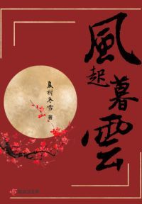 墨王追妻之二嫁倾心