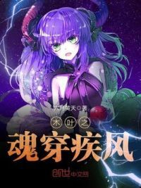 木叶之魂穿疾风