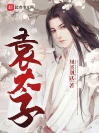 袁太子