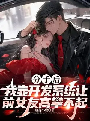 分手后，**开发系统让前女友高攀不起