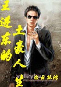 王进东的土豪人生