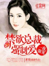一夜强宠：禁欲总裁强制爱