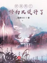 陈伶赵乙