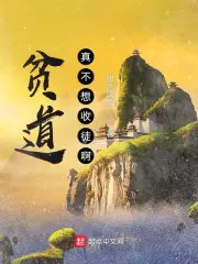 战神归来陆云叶倾城