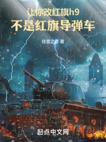 让你改红旗h9，不是红旗**车