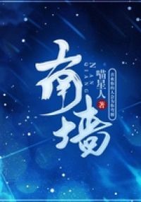 南墙