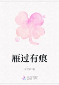 雁过有痕