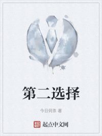 第二选择