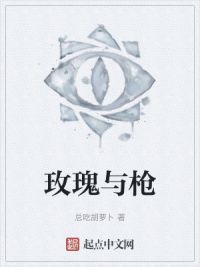 玫瑰与枪