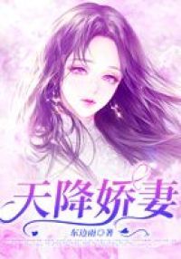 天降娇妻