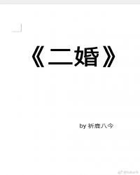 二婚