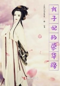 太子妃的荣华路