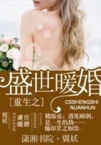 重生之盛世暖婚