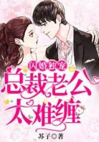 闪婚独宠：总裁老公太难缠