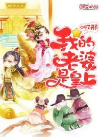 我的老婆是皇上