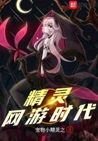 精灵网游时代