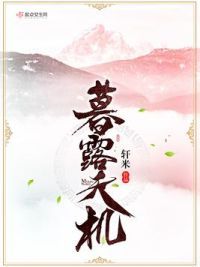暮露天机