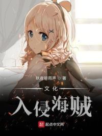 文化入侵海贼