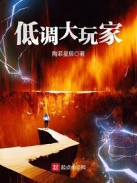 低调大玩家