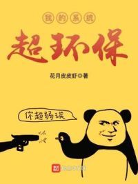 我的系统超环保