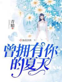 曾拥有你的夏天