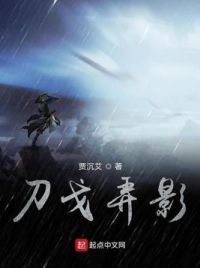 刀戈弄影