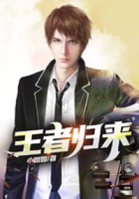 极品女婿范建明小说