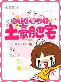 转生对象是个土豪肥宅