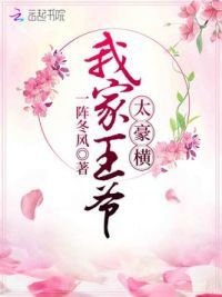 我家王爷太豪横