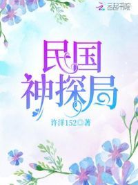 民国神探局