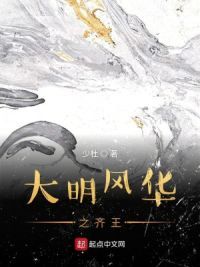 大明风华之齐王
