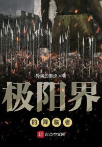极阳界的降临者