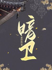 暗卫
