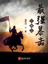 三国之最**击