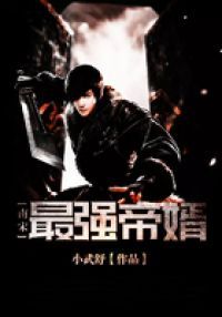 南宋最强帝婿