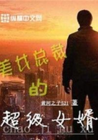 美女总裁的超级女婿