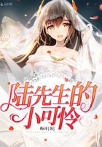 陆先生的小可怜