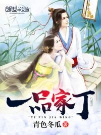 一品家丁