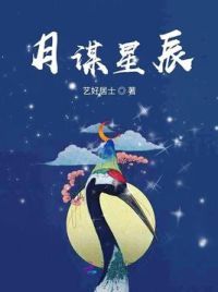 月谋星辰