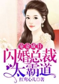 宠妻成狂：闪婚总裁太霸道