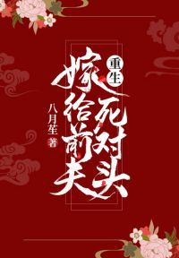重生嫁给前夫死对头