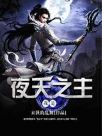我是夜天之主
